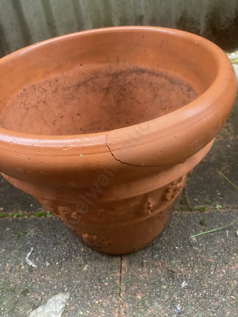 Italian Terracotta Planter & Another Terracotta Planter Image 1++